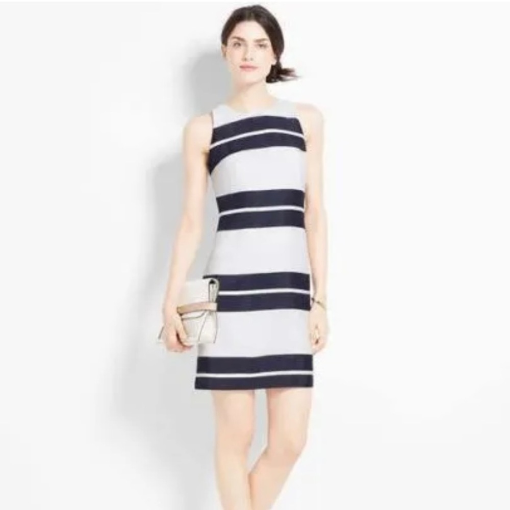 Ann Taylor Shift Dress